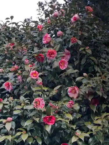 境香取神社の自然