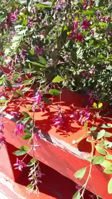 瑞巌寺五大堂(宮城県)