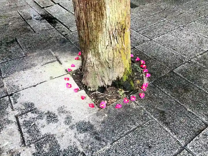 八幡朝見神社のその他建物