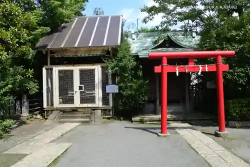 稲毛神社の建物その他