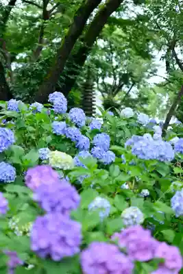 妙楽寺(神奈川県)