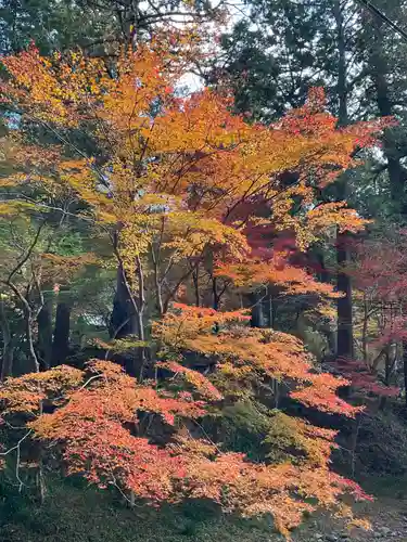 小國神社(静岡県)
