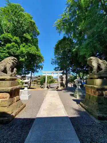 熊野福藏神社の鳥居