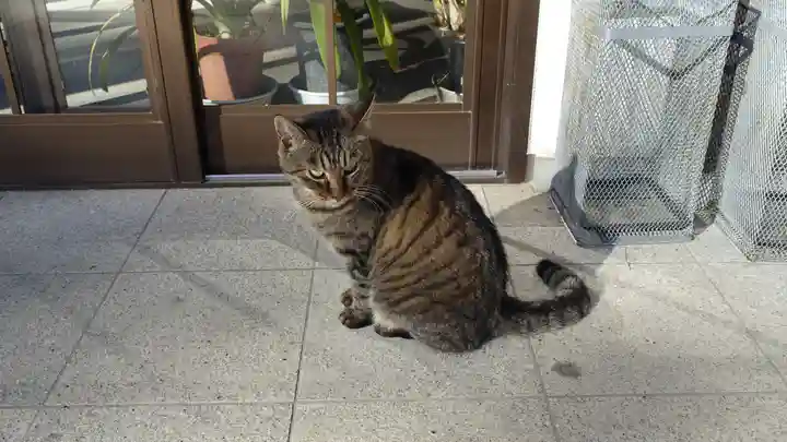 山梨縣護國神社(山梨県)
