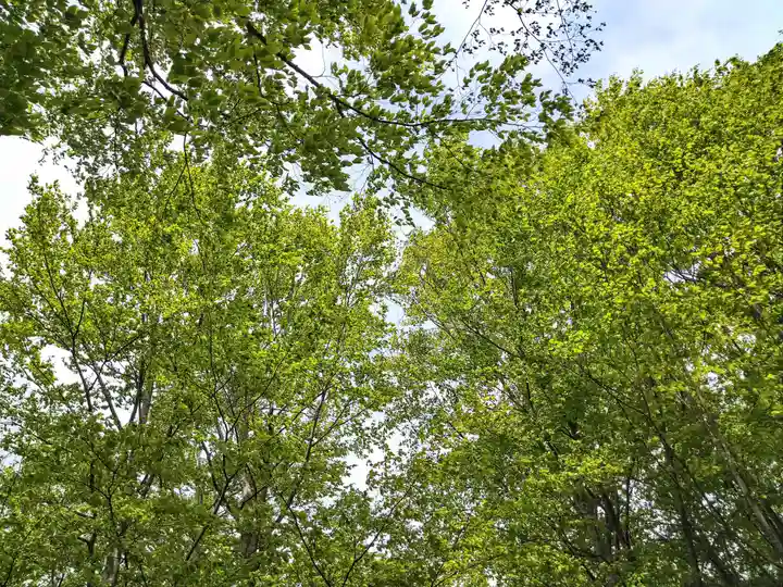空気神社(山形県)