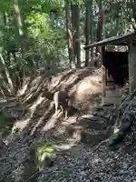 櫻本坊の動物