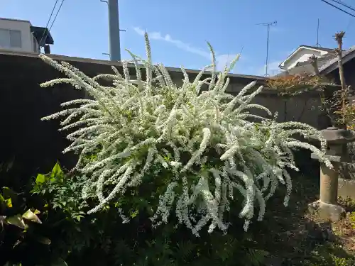 宗善寺(和歌山県)