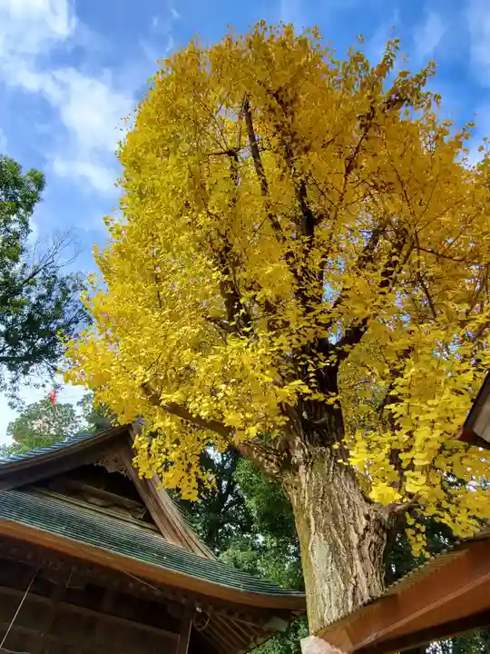阿邪訶根神社(福島県)