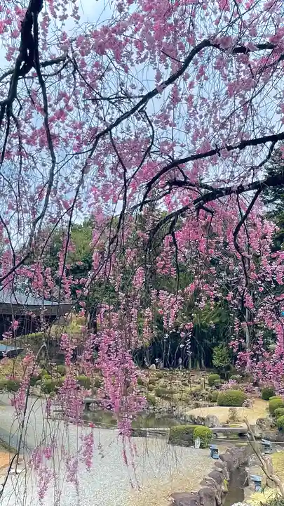 浄居寺(山梨県)