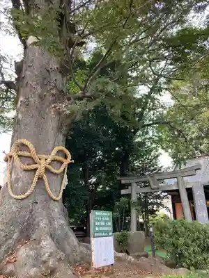 出雲大社相模分祠(神奈川県)