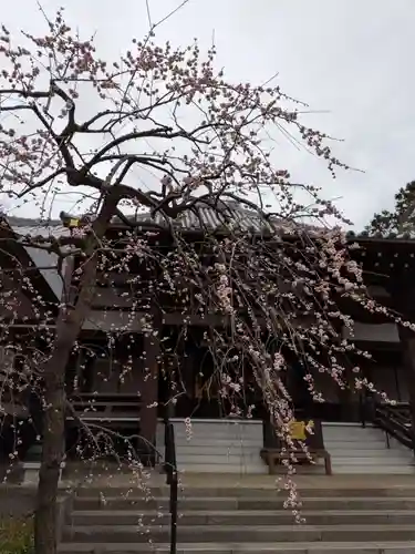 妙法寺(東京都)