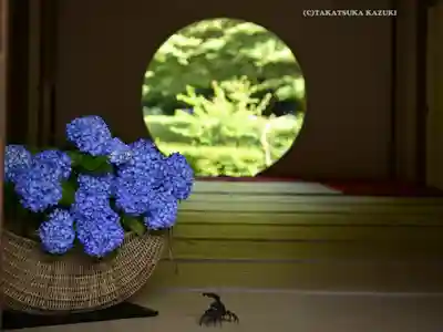 明月院(神奈川県)