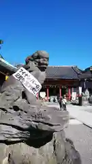 浅草神社の狛犬