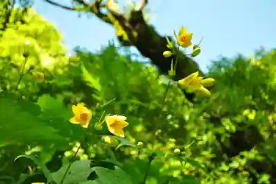 劔神社(徳島県)