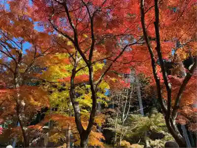 高山寺(兵庫県)