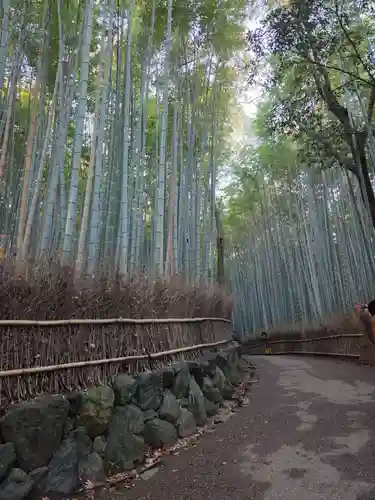 野宮神社(京都府)