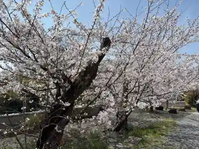 安岡寺(大阪府)