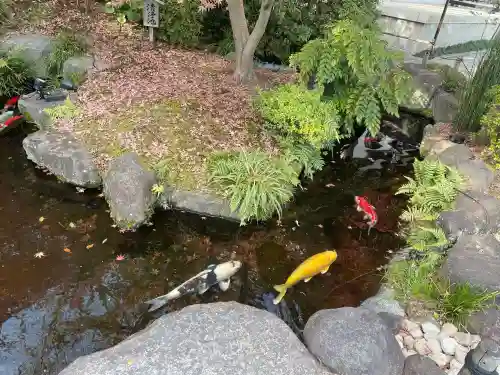 長谷寺の{uncategorized: "未分類", other: "その他", undefined: "問題あり", building: "その他建物", grave: "お墓", sacred_gate: "鳥居", guardian: "狛犬", statue: "像", buddha: "仏像", history: "歴史", nature: "自然", garden: "庭園", animal: "動物", pagoda: "塔", temizu: "手水舎", mountain_gate: "山門・神門", sanctuary: "本殿・本堂", subordinate: "末社・摂社", art: "芸術", scenery: "景色", jizo: "地蔵", ema: "絵馬", goshuin: "御朱印", omikuji: "おみくじ", items: "授与品その他", amulet: "お守り", goshuincho: "御朱印帳", eats: "食事", festival: "お祭り", votive_dance: "神楽", shichigosan: "七五三参", wedding: "結婚式", experience: "体験その他", initially: "初詣", around: "周辺", anti_infection: "感染症対策"}