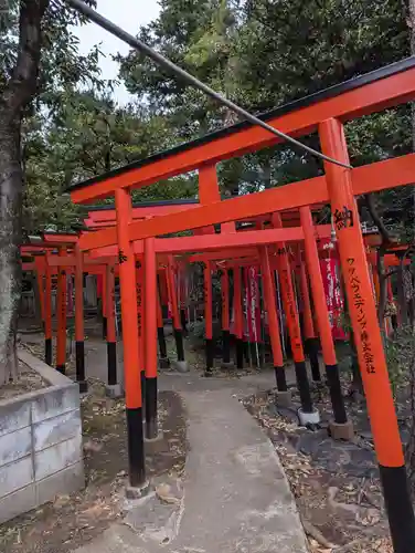 東伏見稲荷神社(東京都)