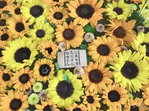 住吉神社の手水舎