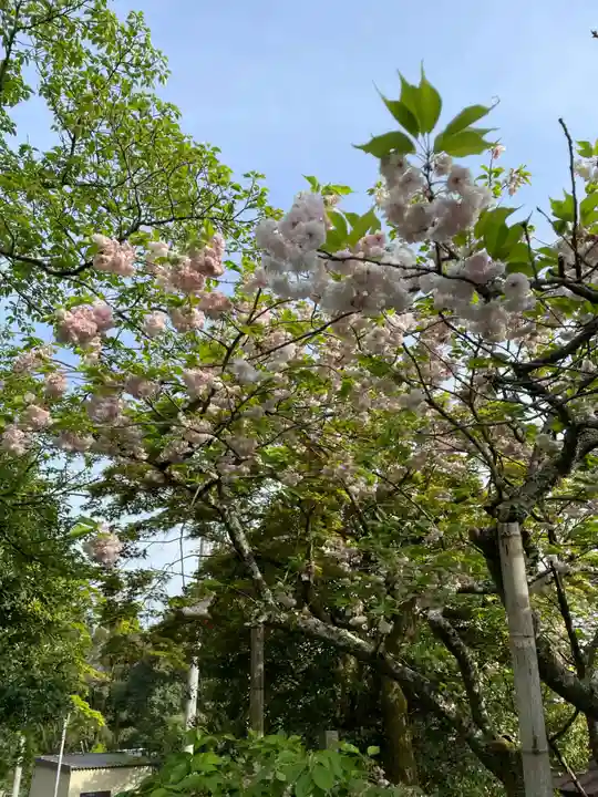 松尾寺(京都府)