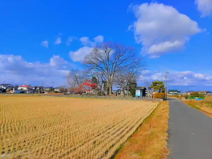 立山社・白山社(百町)の自然