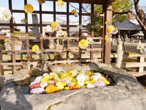 金倉寺の手水舎