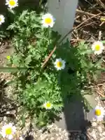 三輪神社の自然