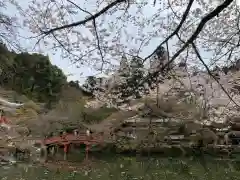 醍醐寺(京都府)