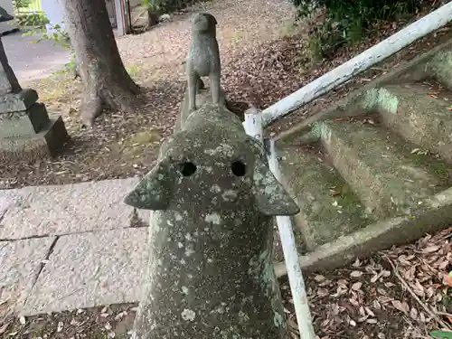 鹿渡神社の狛犬