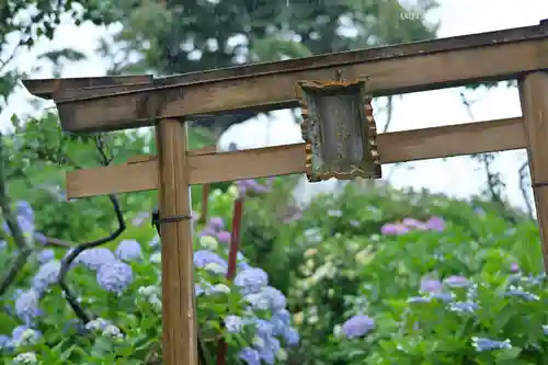 白山神社の鳥居