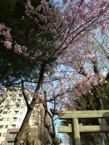 牛嶋神社の自然