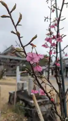 新日吉神宮(京都府)