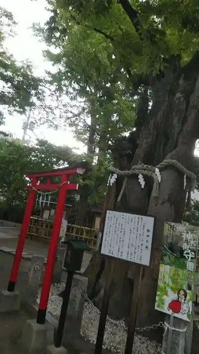 新田神社のその他建物