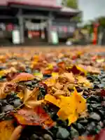 伊達神社(北海道)