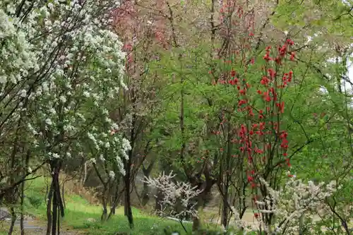 阿久津「田村神社」（郡山市阿久津町）旧社名：伊豆箱根三嶋三社の庭園