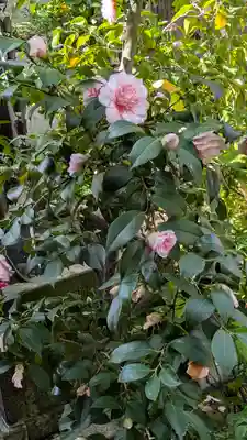 宝蔵寺(京都府)