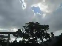 屋久島大社のその他建物