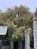 諏訪神社(神奈川県)