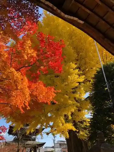 飛騨国分寺の景色