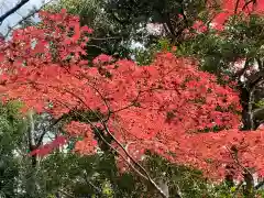 大正寺の自然