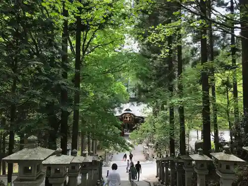 三峯神社(埼玉県)