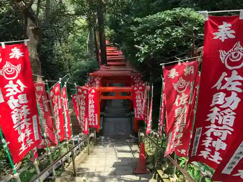 佐助稲荷神社の鳥居