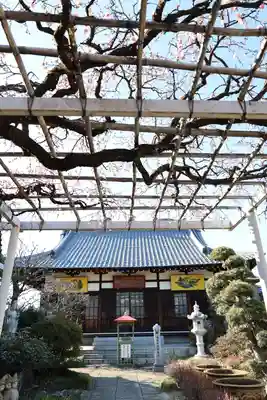 長善寺(東京都)