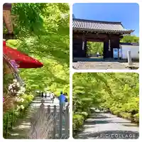 二尊院(京都府)