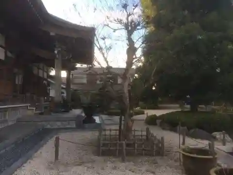 宝泉寺の本殿・本堂