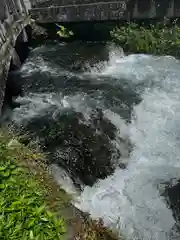 富士山本宮浅間大社(静岡県)