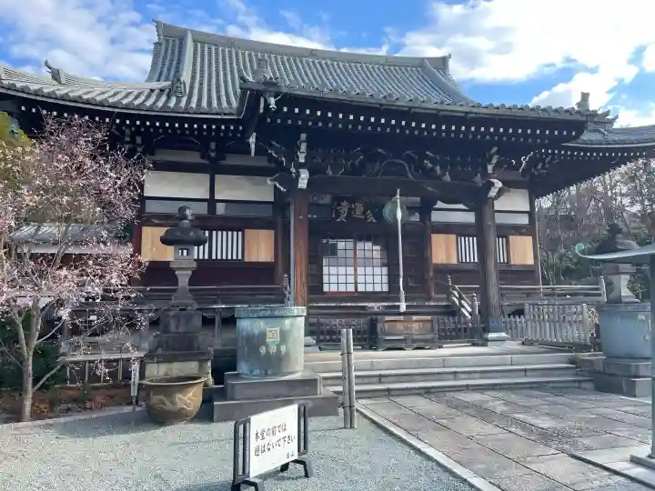 妙蓮寺の{uncategorized: "未分類", other: "その他", undefined: "問題あり", building: "その他建物", grave: "お墓", sacred_gate: "鳥居", guardian: "狛犬", statue: "像", buddha: "仏像", history: "歴史", nature: "自然", garden: "庭園", animal: "動物", pagoda: "塔", temizu: "手水舎", mountain_gate: "山門・神門", sanctuary: "本殿・本堂", subordinate: "末社・摂社", art: "芸術", scenery: "景色", jizo: "地蔵", ema: "絵馬", goshuin: "御朱印", omikuji: "おみくじ", items: "授与品その他", amulet: "お守り", goshuincho: "御朱印帳", eats: "食事", festival: "お祭り", votive_dance: "神楽", shichigosan: "七五三参", wedding: "結婚式", experience: "体験その他", initially: "初詣", around: "周辺", anti_infection: "感染症対策"}