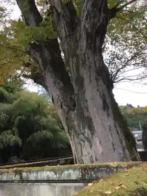東照宮(神奈川県)