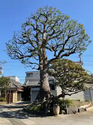 観音寺(東京都)